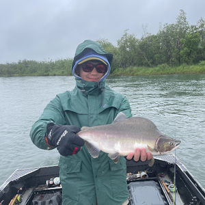 Meet your Posher, Austin